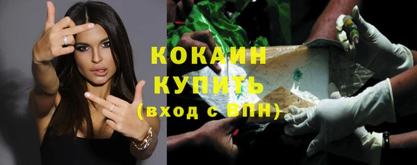 стаф Балахна