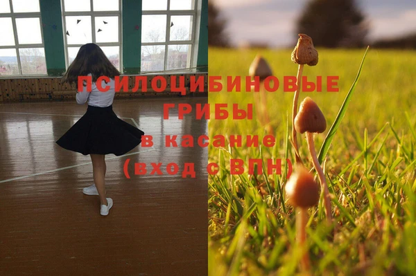 стаф Балахна