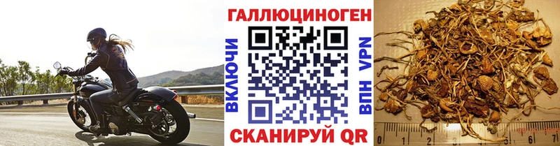 Галлюциногенные грибы прущие грибы  Озёры 